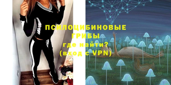 spice Абаза