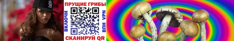 Псилоцибиновые грибы GOLDEN TEACHER  купить закладку  Омск 